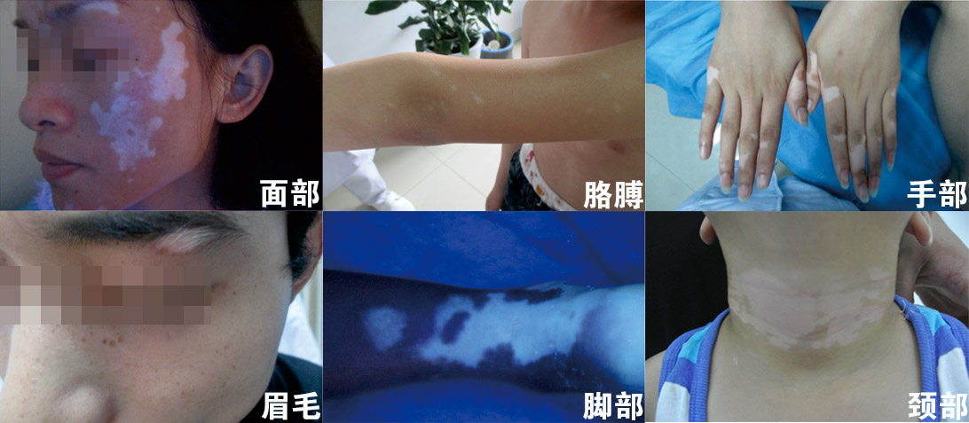 未标题-1.jpg